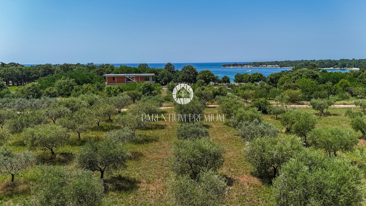 Villa di lusso con piscina a 300 metri dal mare