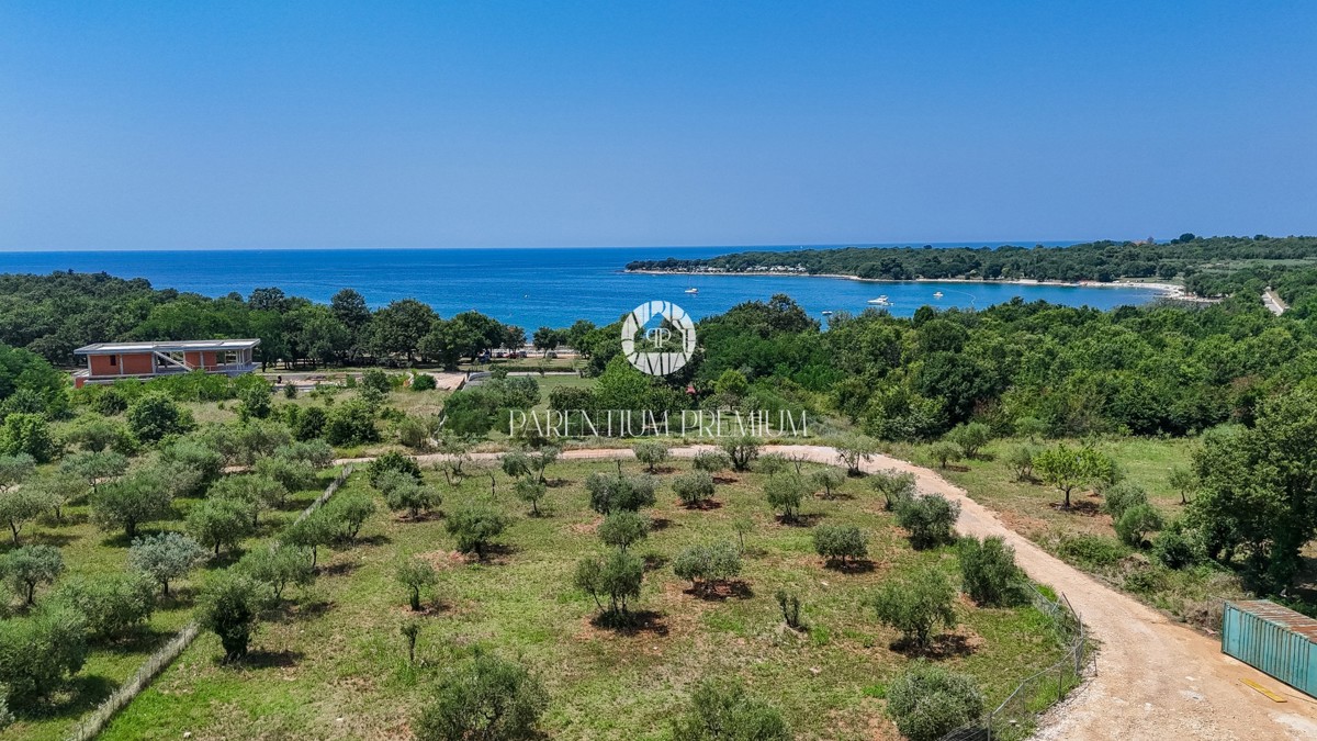 Villa di lusso con piscina a 300 metri dal mare