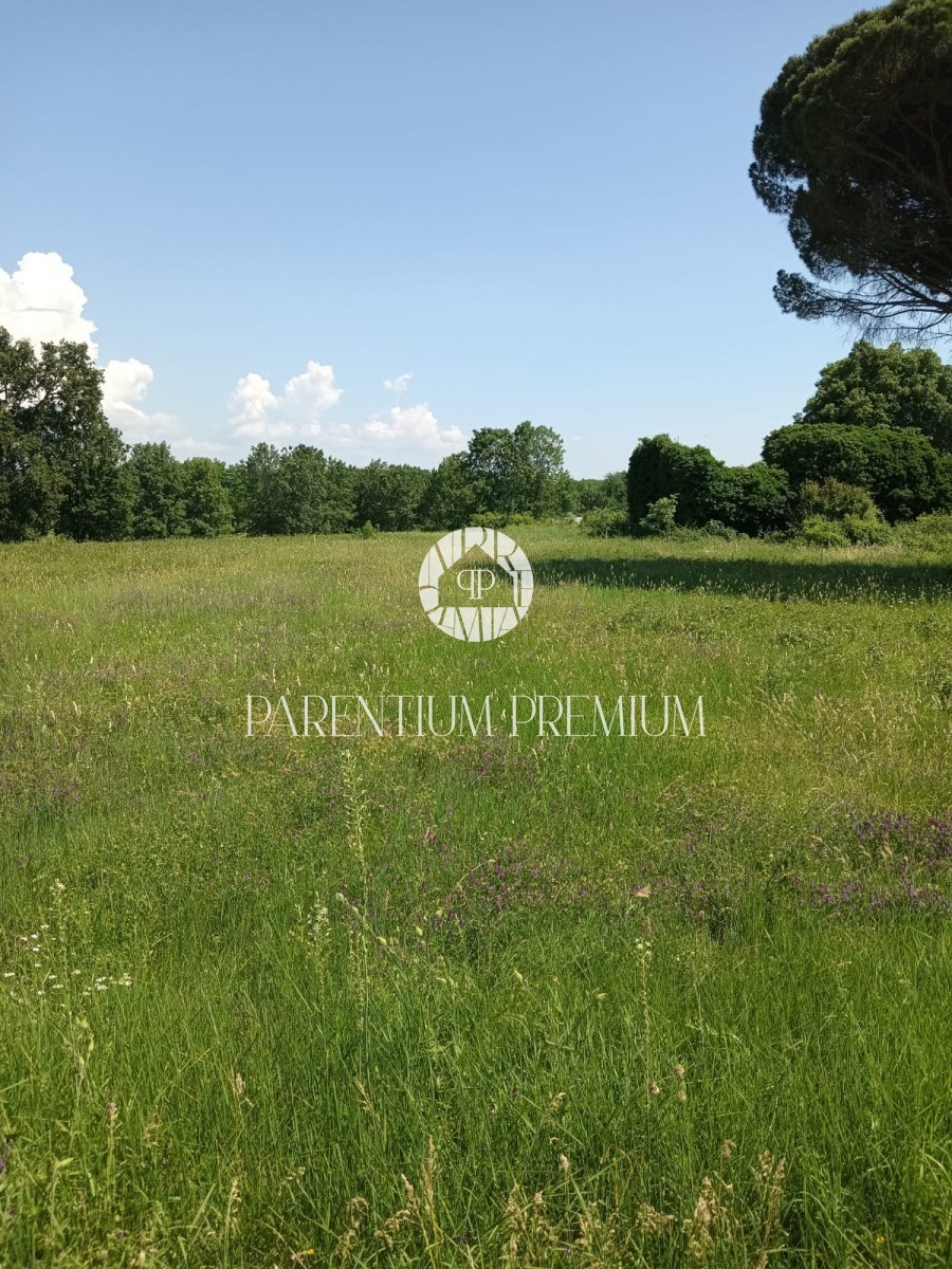 Attraente terreno edificabile in una posizione tranquilla