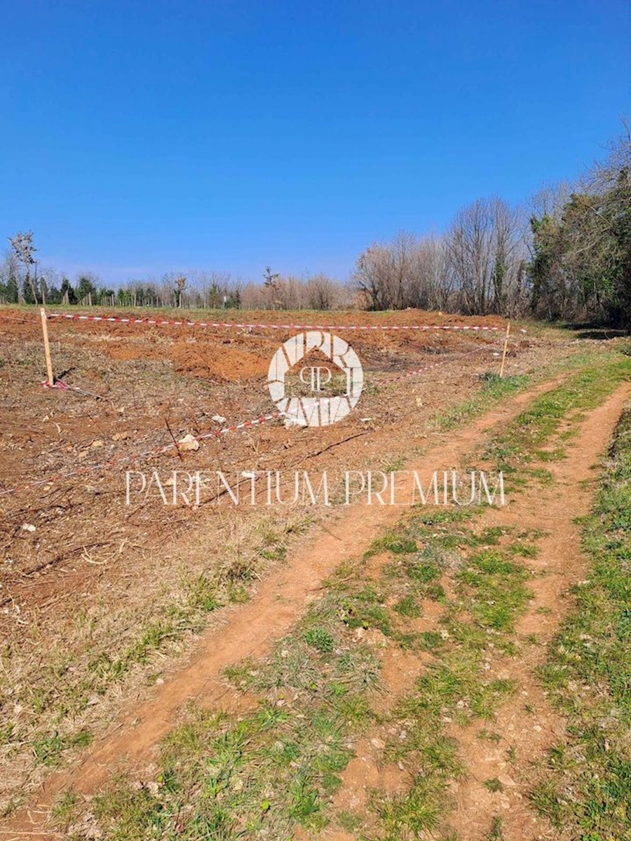 Attraente terreno edificabile in una posizione tranquilla