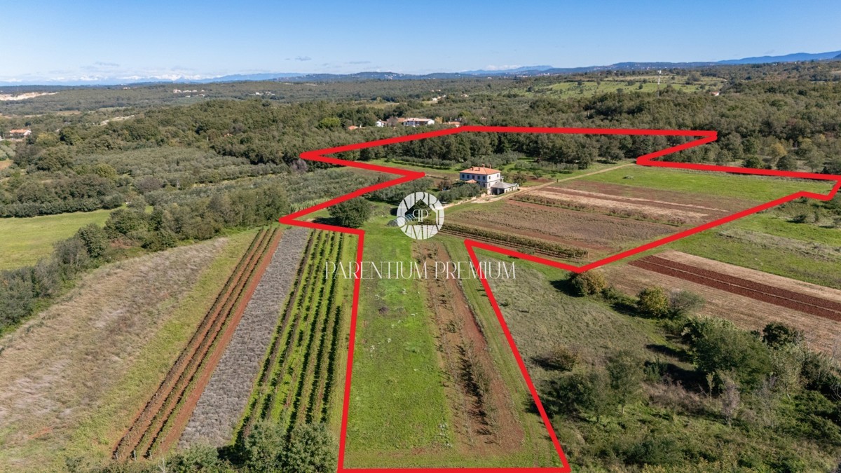 Unica tenuta isolata – un rifugio ideale per gli amanti della privacy e della tranquillità