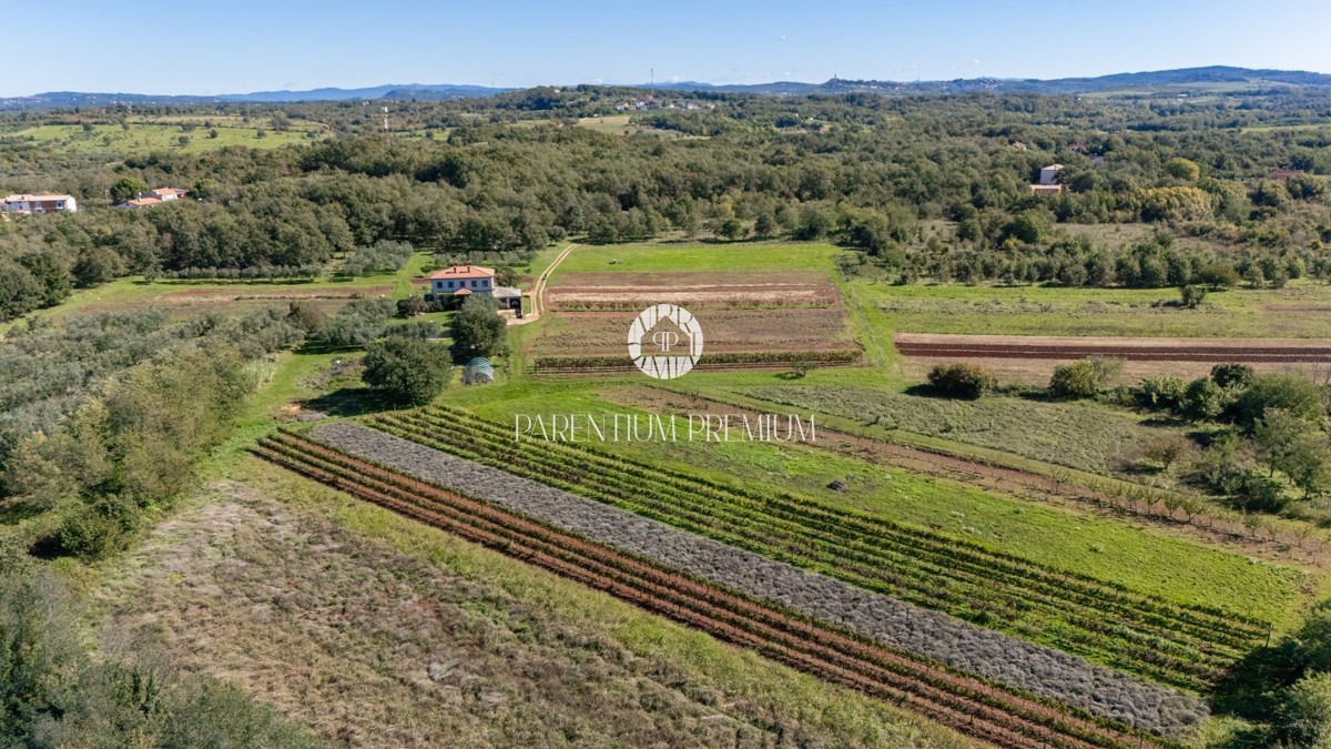 Unica tenuta isolata – un rifugio ideale per gli amanti della privacy e della tranquillità