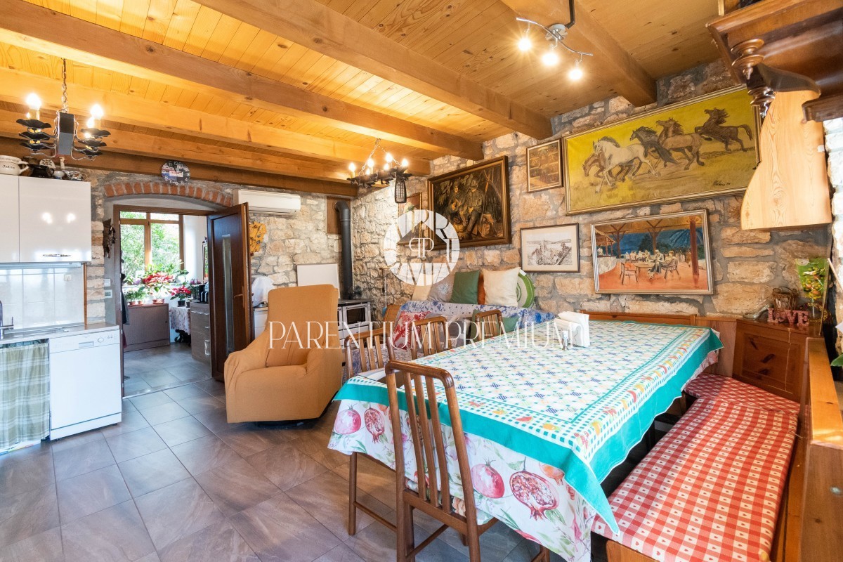 Una bella casa in pietra completamente ristrutturata in un tranquillo villaggio istriano con un ampio cortile