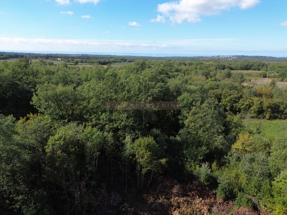 ISTRIA - POREČ - SOON READY - LUXURY VILLA!