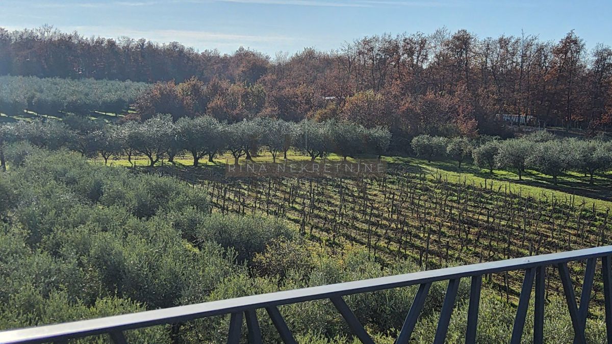 Istria – Parenzo: appartamento con terrazza sul tetto e mare