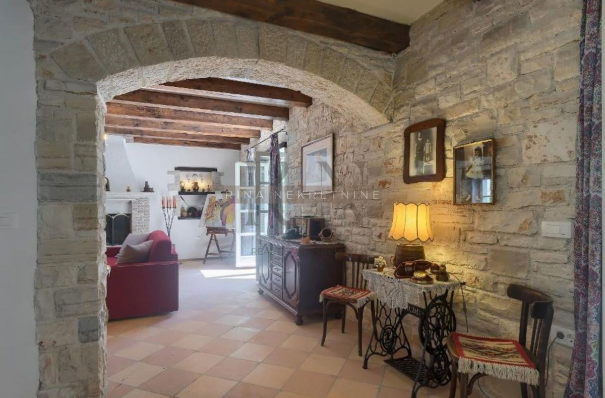 ISTRIA - TINJAN - VILLA DAL FASCINO ISTRIANO - OCCASIONE!