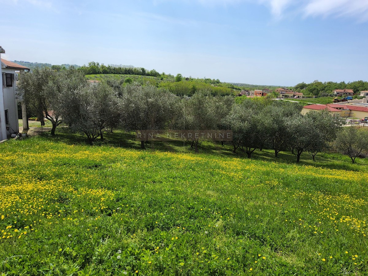 Istria, Opportunità di Investimento: Lotti Edificabili nel Centro di Vižinada