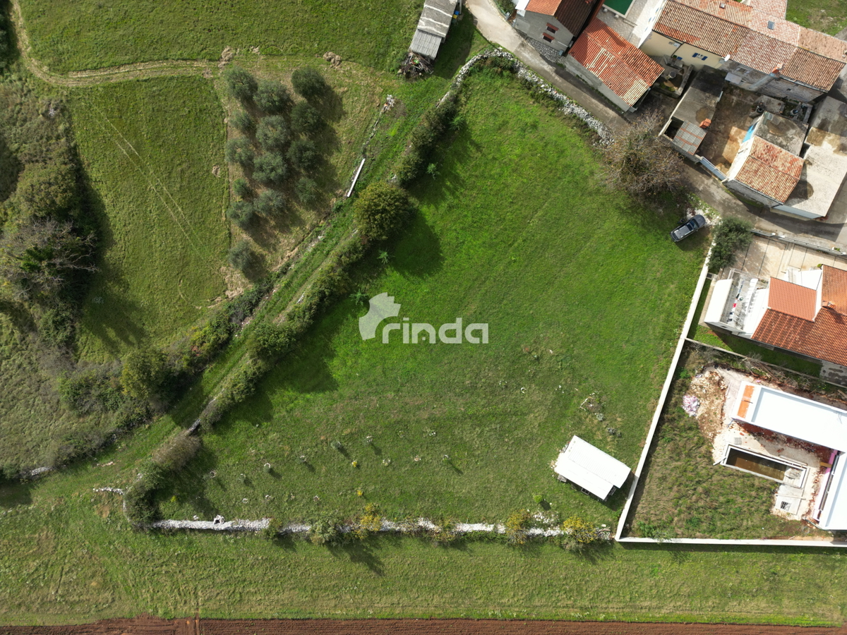 Terreno edificabile - Dintorni di Gimino - 3318 m2 - Offerta esclusiva