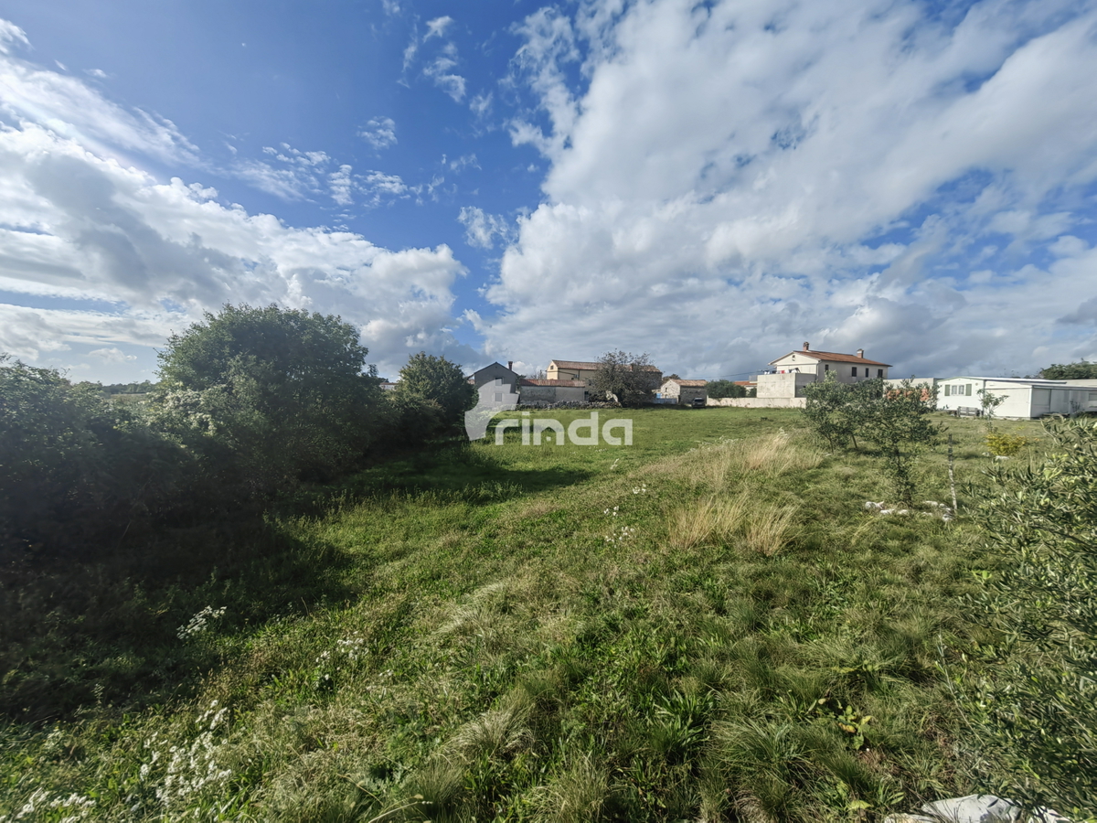 Terreno edificabile - Dintorni di Gimino - 3318 m2 - Offerta esclusiva