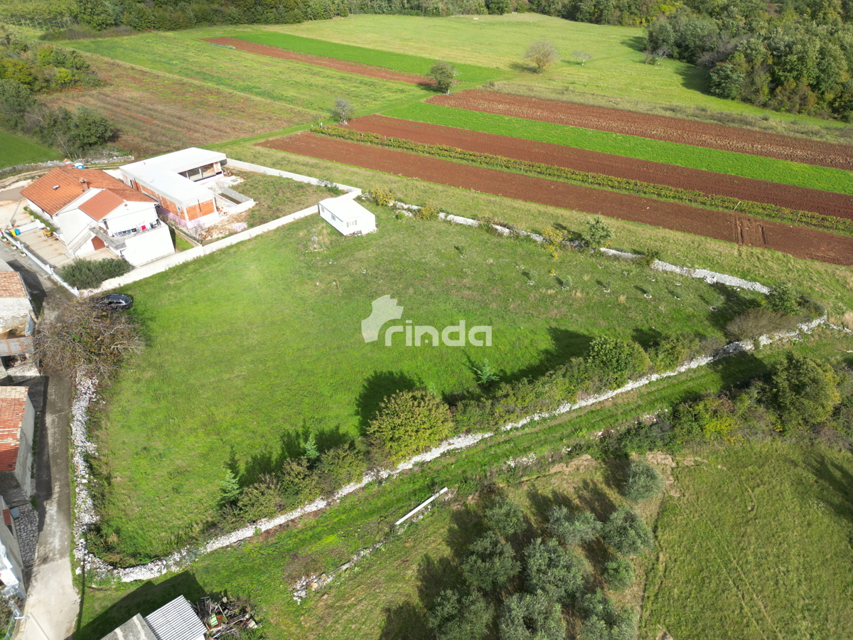 Terreno edificabile - Dintorni di Gimino - 3318 m2 - Offerta esclusiva