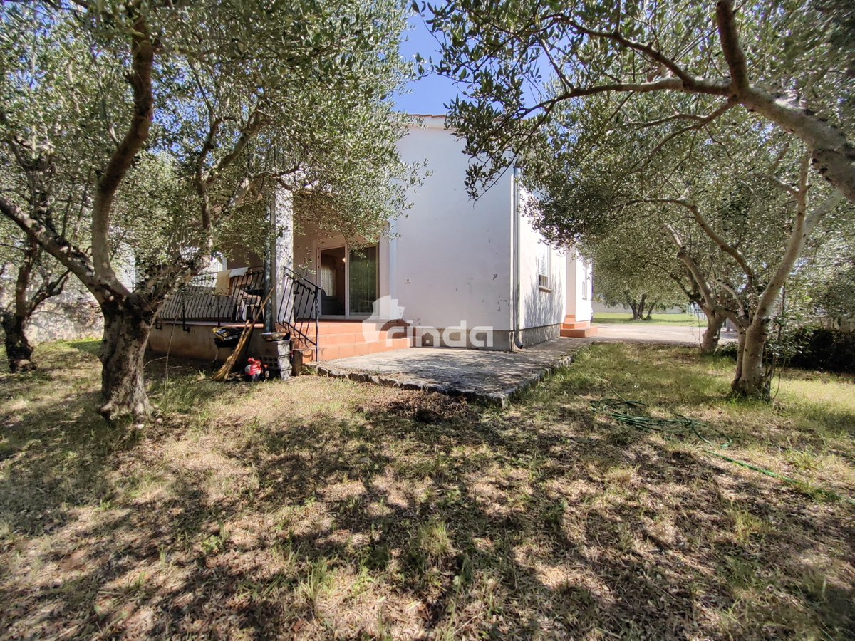 Casa - Rovinjsko Selo - 88m2 + (561m2) - Offerta esclusiva!