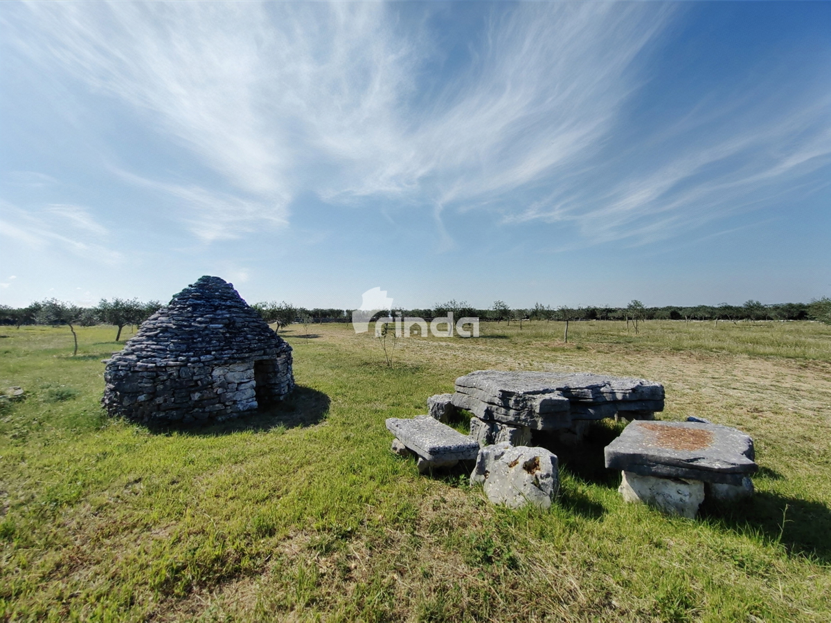 Grande azienda agricola - Vodnjan - 13.841m2