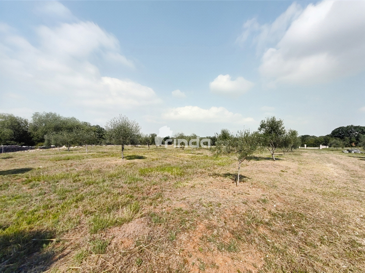 Grande azienda agricola - Vodnjan - 13.841m2