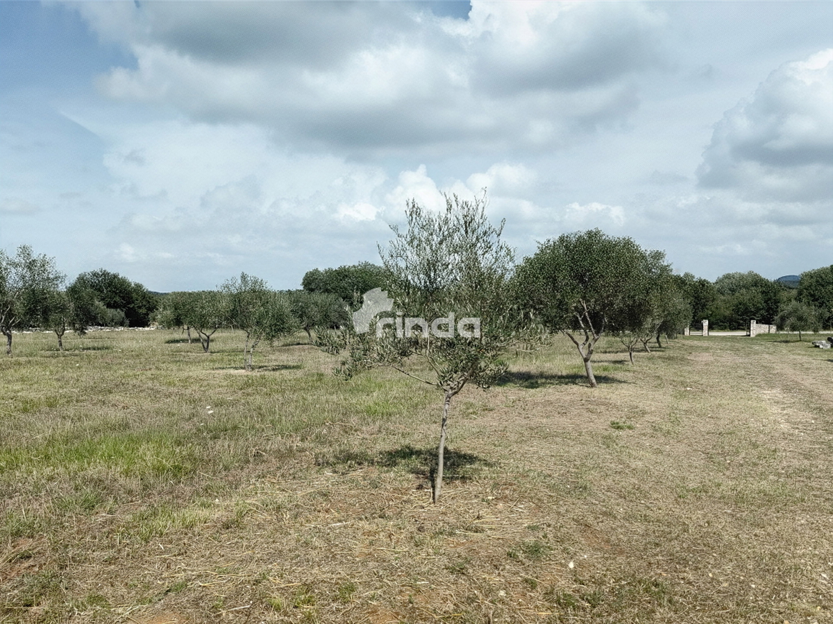 Grande azienda agricola - Vodnjan - 13.841m2