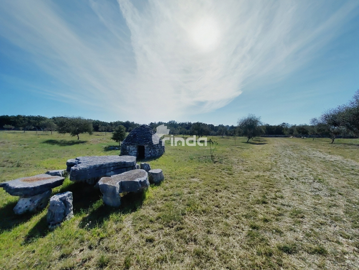 Grande azienda agricola - Vodnjan - 13.841m2