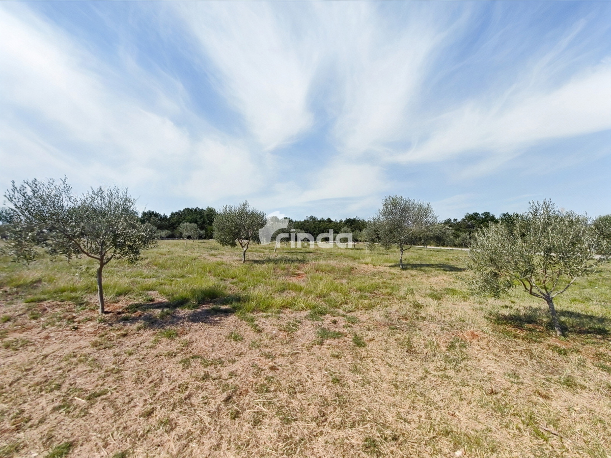 Grande azienda agricola - Vodnjan - 13.841m2
