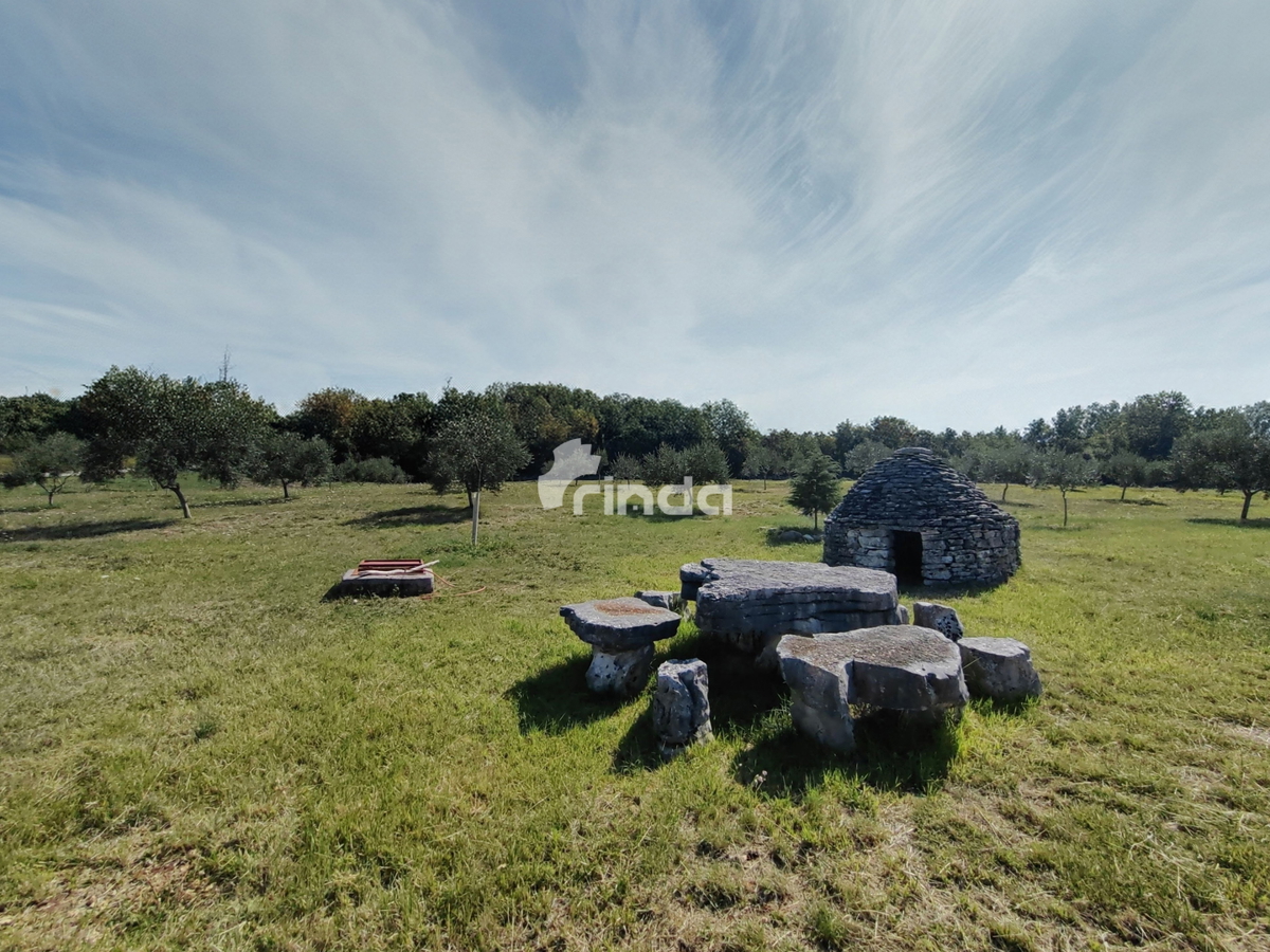 Grande azienda agricola - Vodnjan - 13.841m2