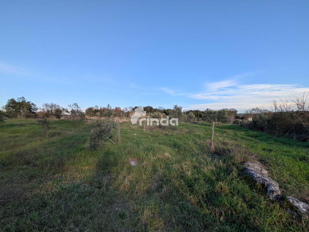 Casa e terreno agricolo - Rovinj - 4500m2 + (68m2)