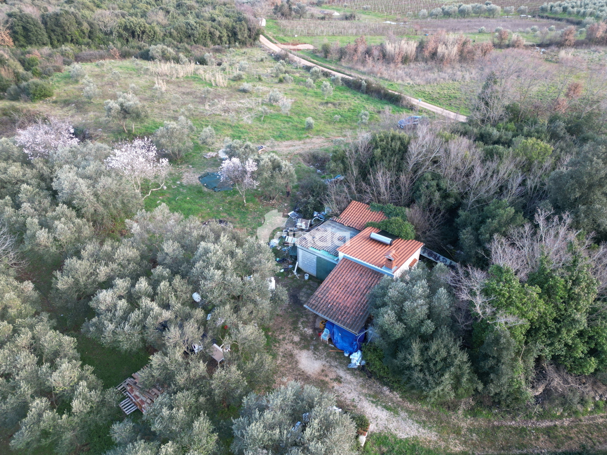 Casa e terreno agricolo - Rovinj - 4500m2 + (68m2)