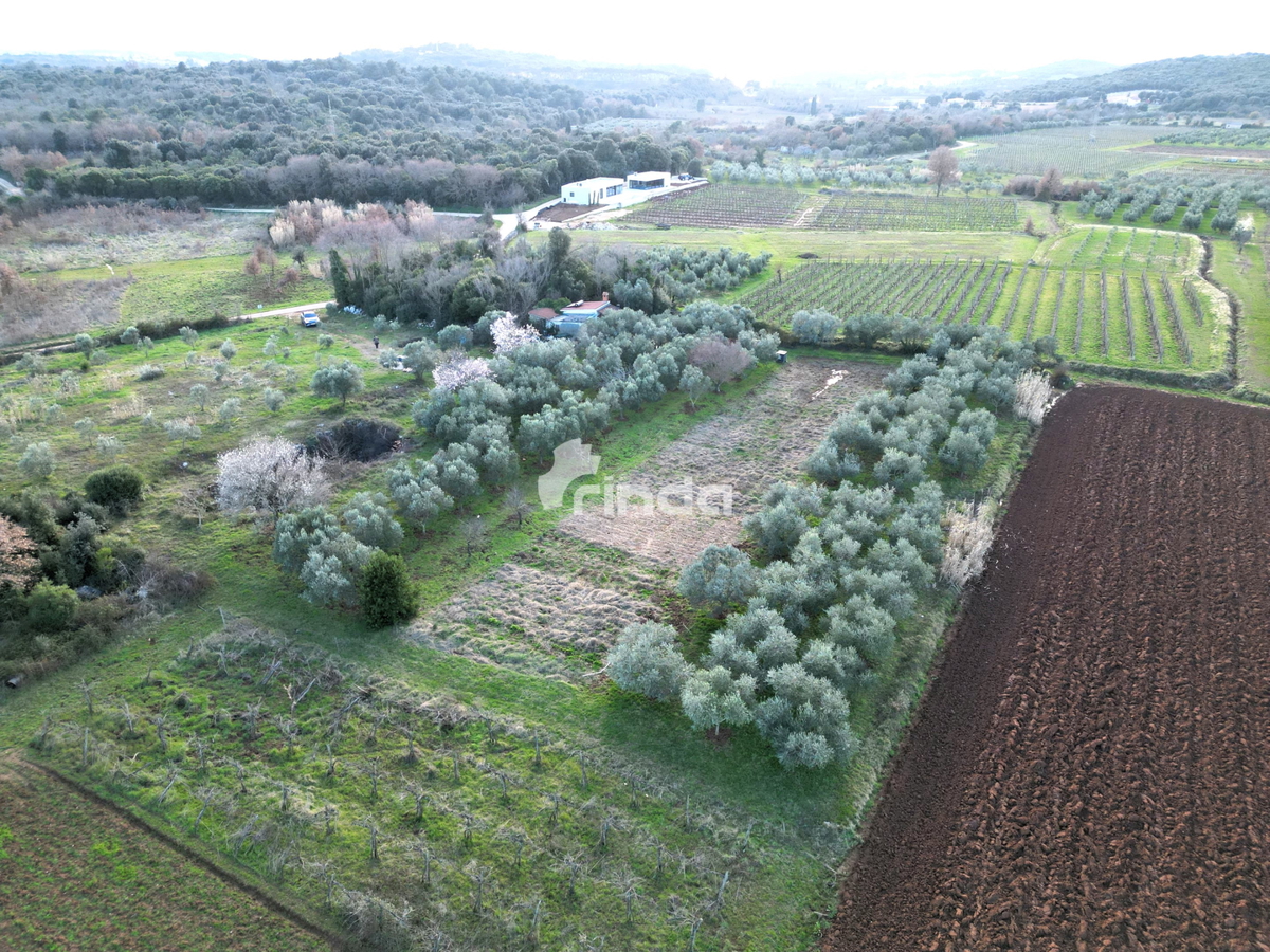 Casa e terreno agricolo - Rovinj - 4500m2 + (68m2)