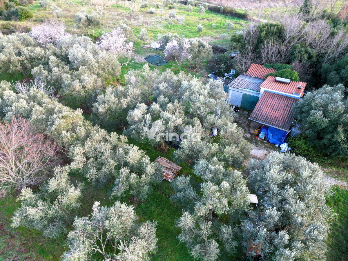 Casa e terreno agricolo - Rovinj - 4500m2 + (68m2)