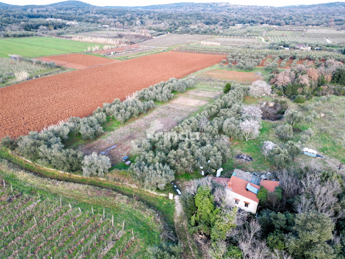 Casa e terreno agricolo - Rovinj - 4500m2 + (68m2)
