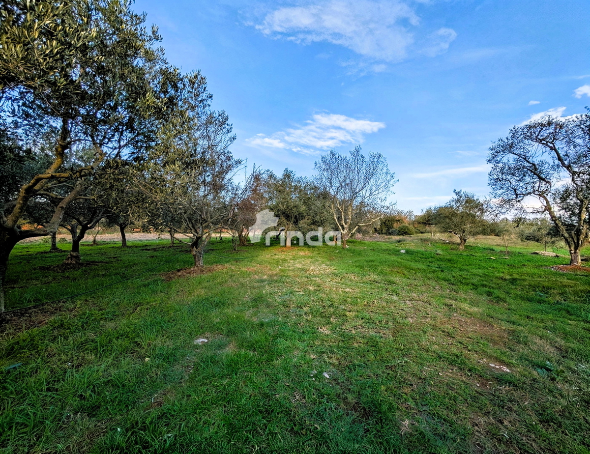 Casa e terreno agricolo - Rovinj - 4500m2 + (68m2)