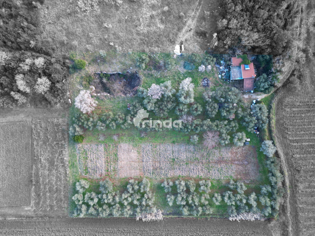 Casa e terreno agricolo - Rovinj - 4500m2 + (68m2)