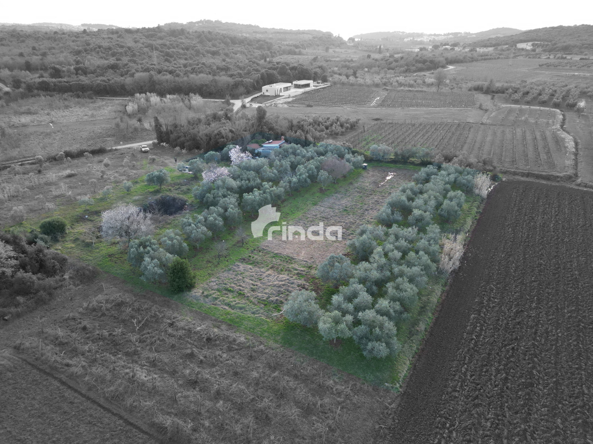 Casa e terreno agricolo - Rovinj - 4500m2 + (68m2)