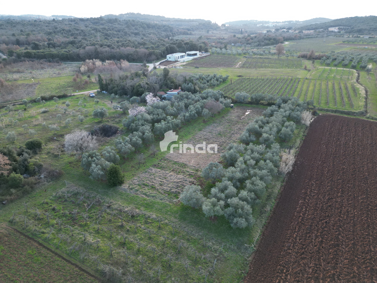 Casa e terreno agricolo - Rovinj - 4500m2 + (68m2)
