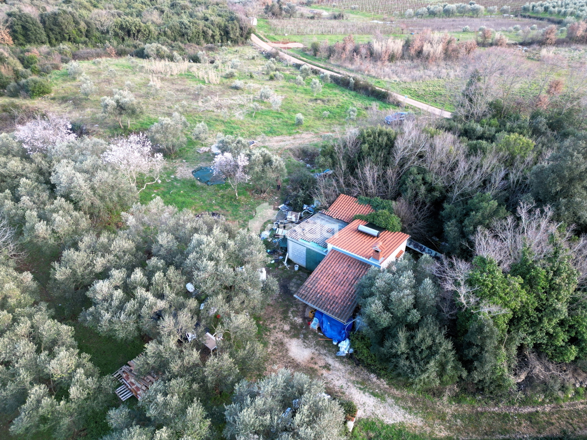 Casa e terreno agricolo - Rovinj - 4500m2 + (68m2)