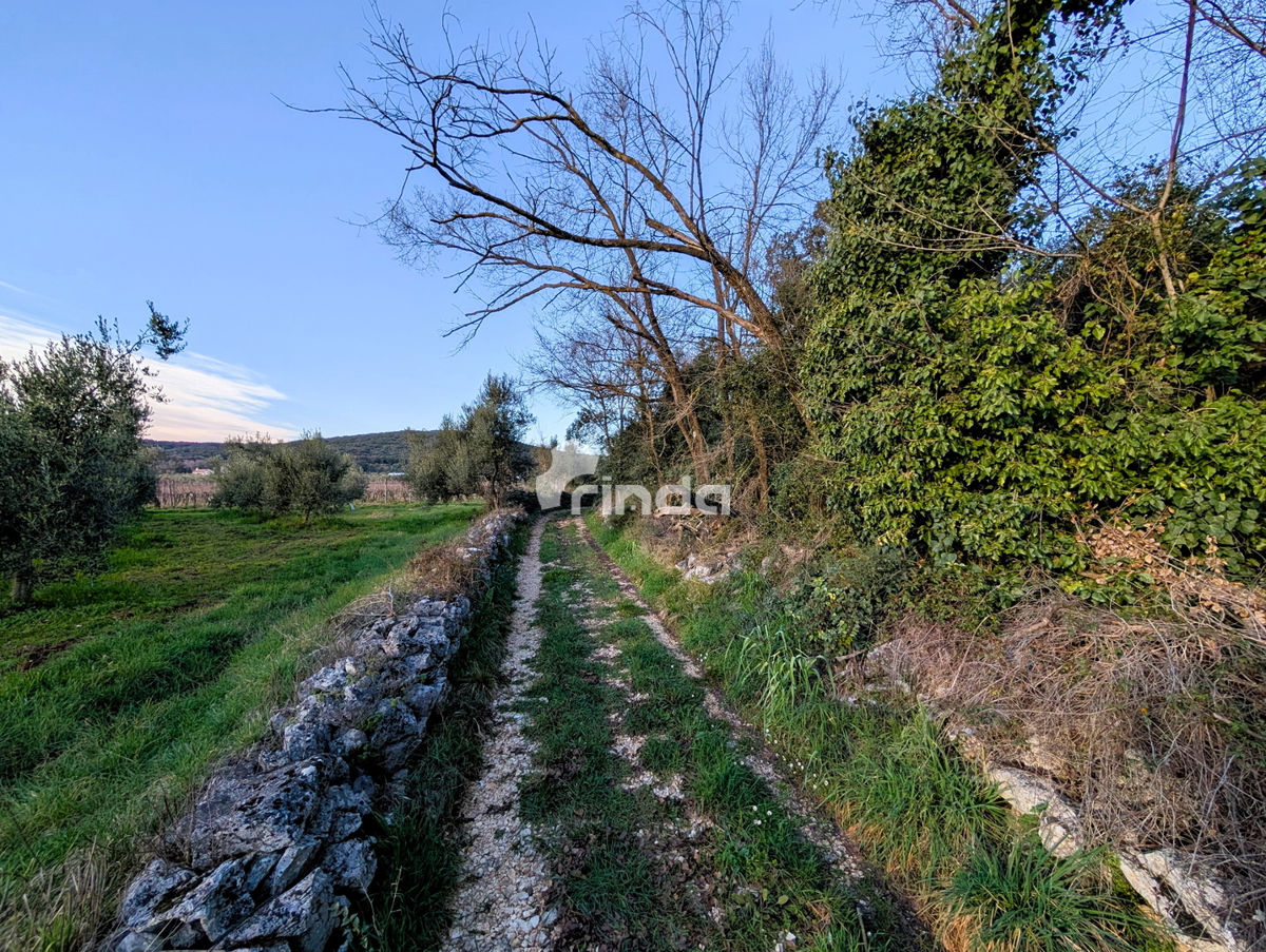 Casa e terreno agricolo - Rovinj - 4500m2 + (68m2)