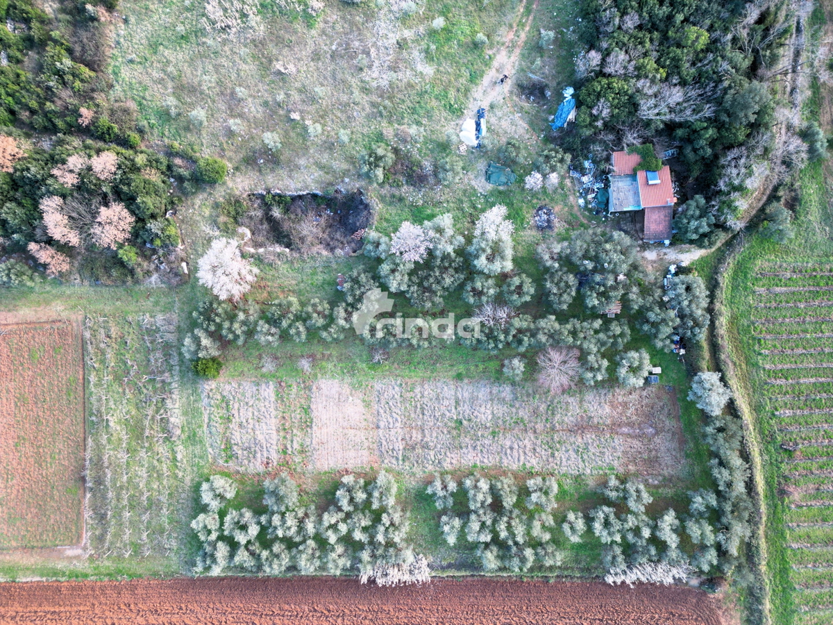 Casa e terreno agricolo - Rovinj - 4500m2 + (68m2)