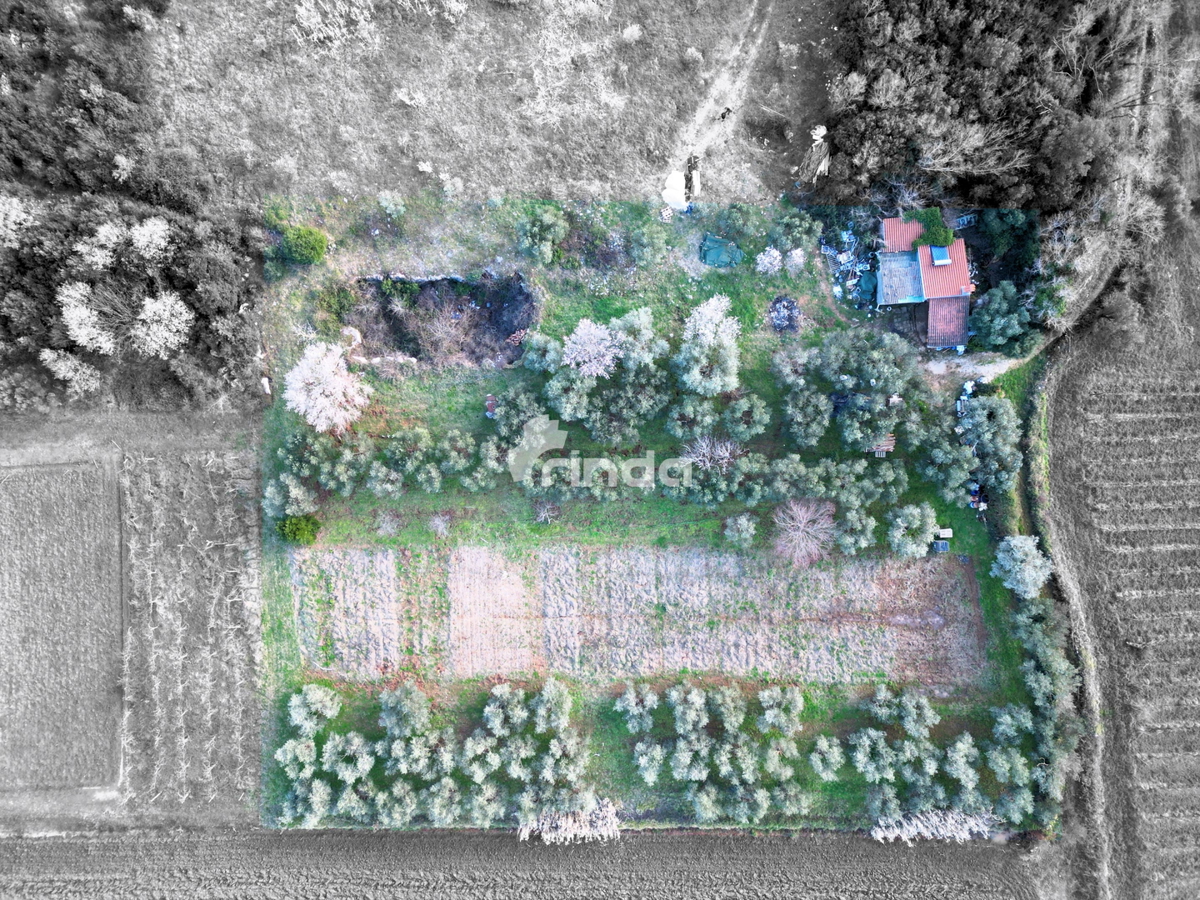 Casa e terreno agricolo - Rovinj - 4500m2 + (68m2)