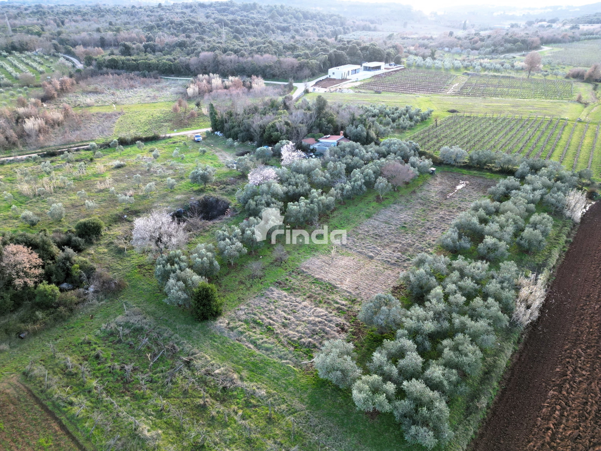 Casa e terreno agricolo - Rovinj - 4500m2 + (68m2)