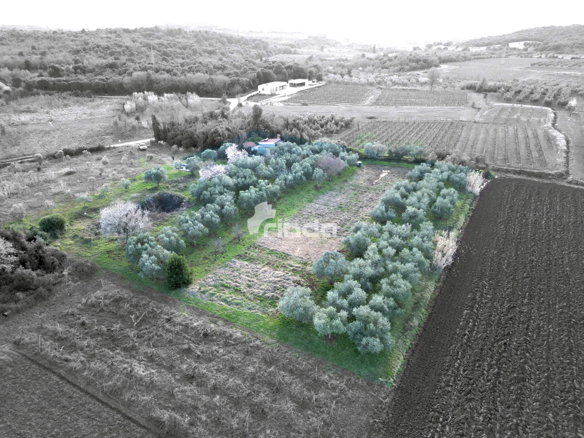 Casa e terreno agricolo - Rovinj - 4500m2 + (68m2)