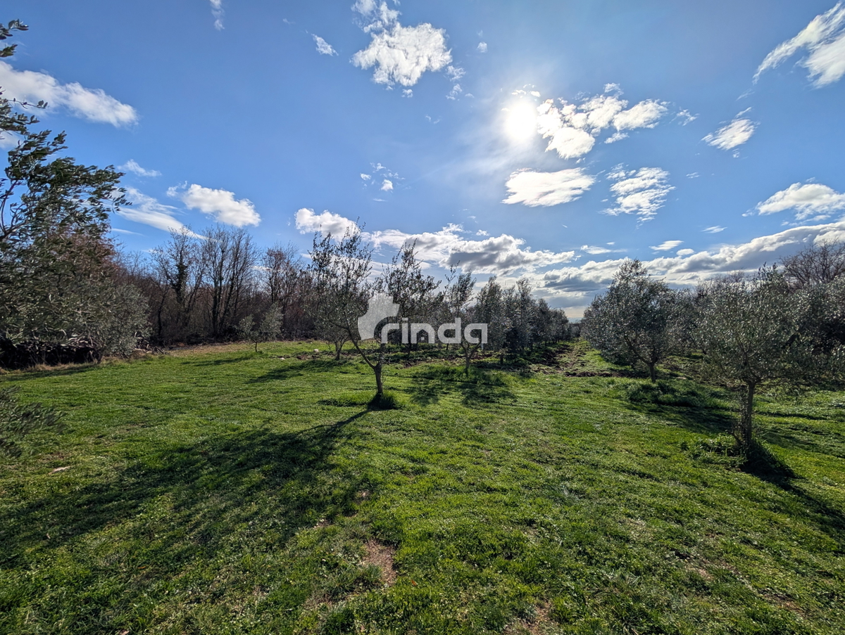 Azienda agricola con casa legalizzata - 12.000 m2 + (36 m2)