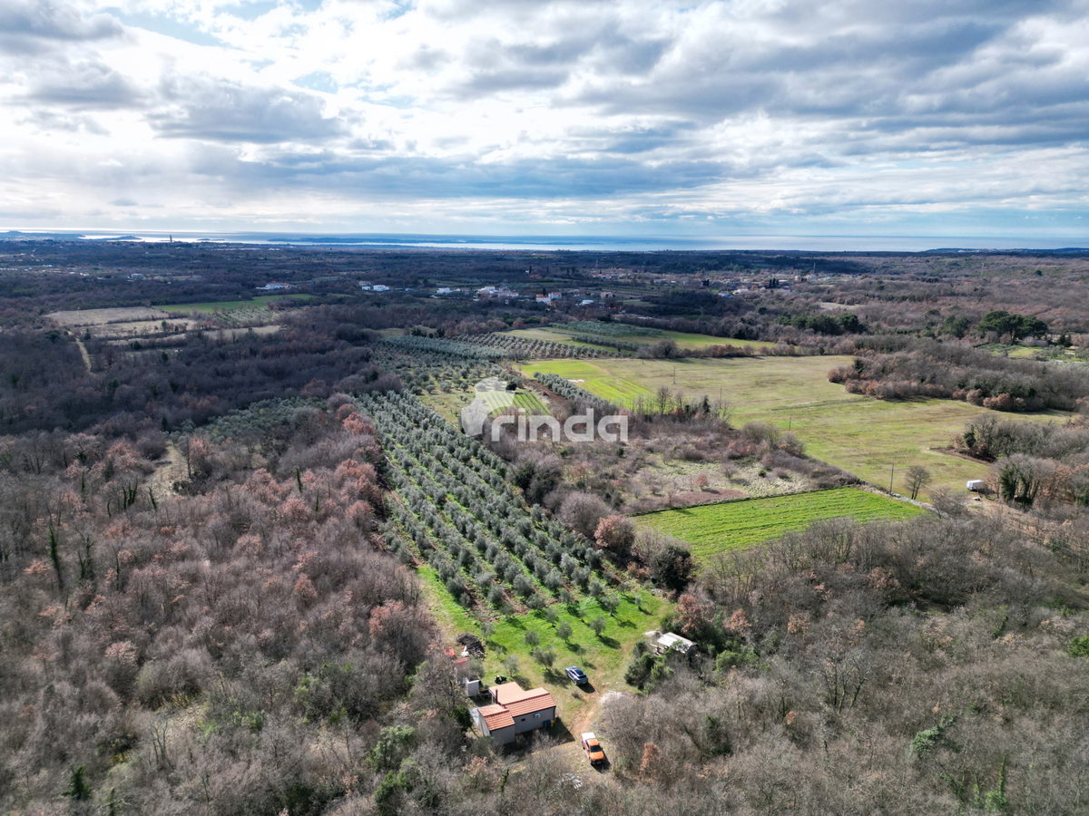 Azienda agricola con casa legalizzata - 12.000 m2 + (36 m2)