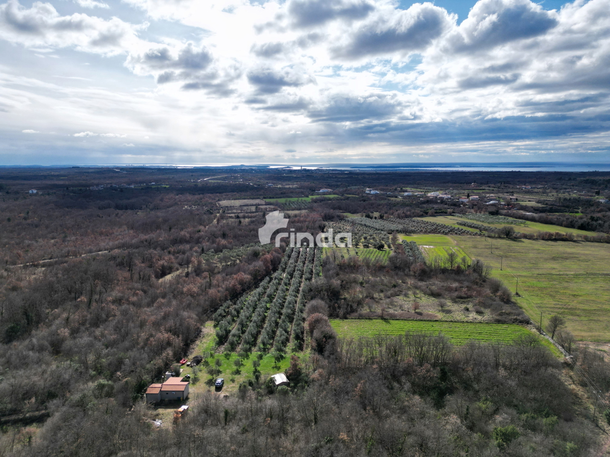 Azienda agricola con casa legalizzata - 12.000 m2 + (36 m2)