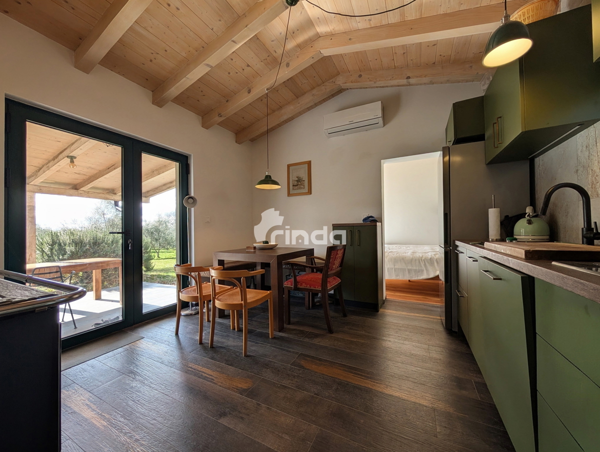 Azienda agricola con casa legalizzata - 12.000 m2 + (36 m2)