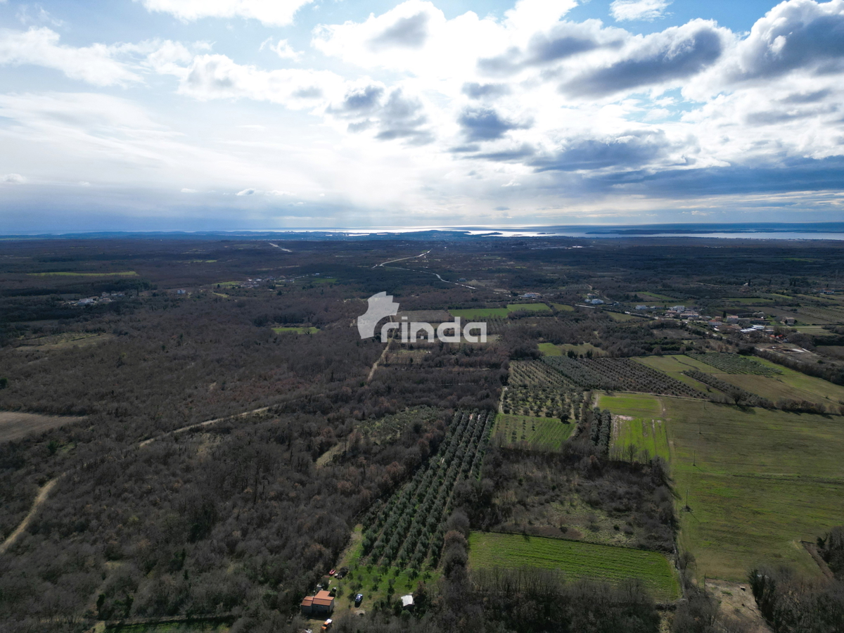 Azienda agricola con casa legalizzata - 12.000 m2 + (36 m2)