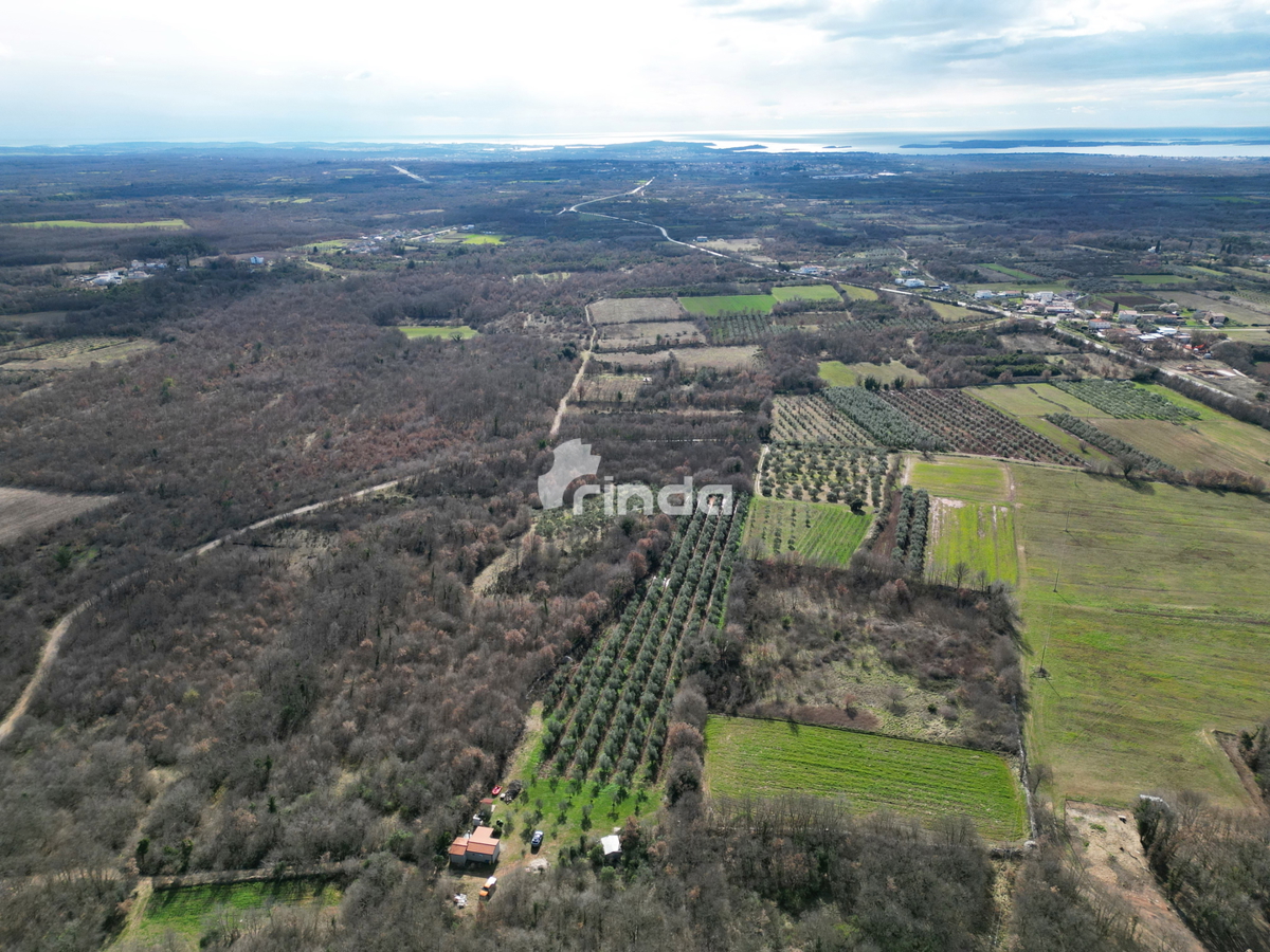 Azienda agricola con casa legalizzata - 12.000 m2 + (36 m2)