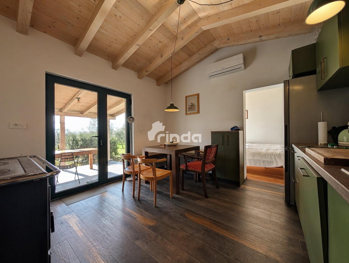 Azienda agricola con casa legalizzata - 12.000 m2 + (36 m2)