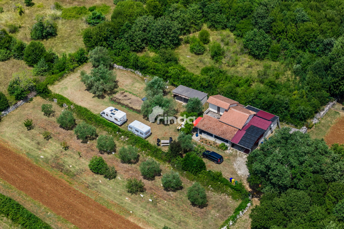 Casa in pietra istriana con uliveto - Mrgani - Canale di Limski - 165m2 + (1.350m2)