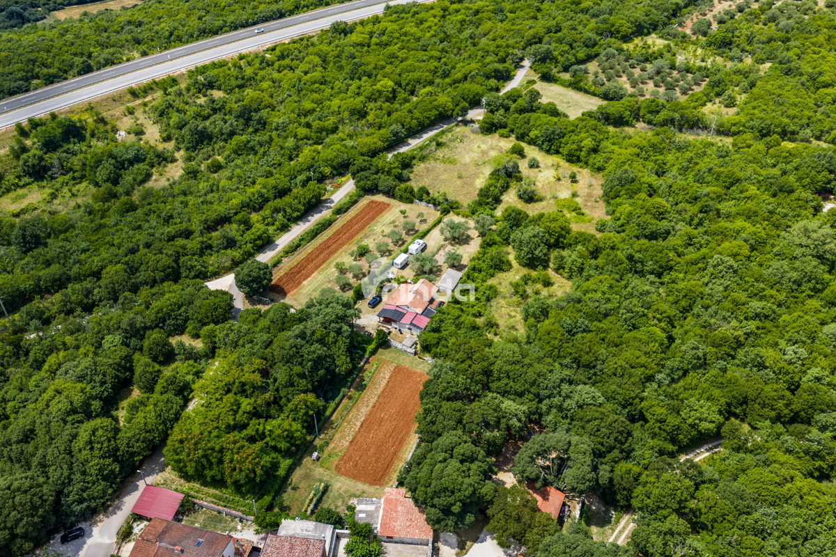 Casa in pietra istriana con uliveto - Mrgani - Canale di Limski - 165m2 + (1.350m2)