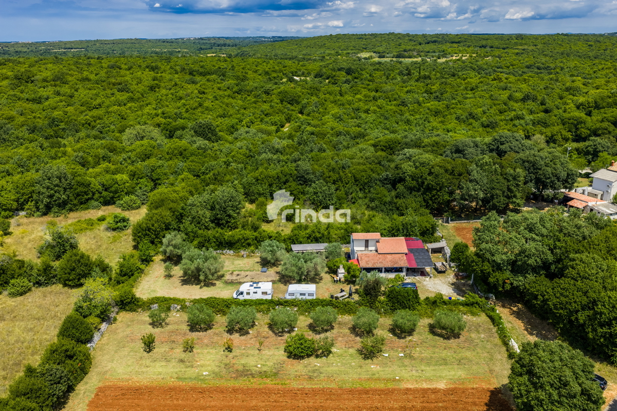 Casa in pietra istriana con uliveto - Mrgani - Canale di Limski - 165m2 + (1.350m2)