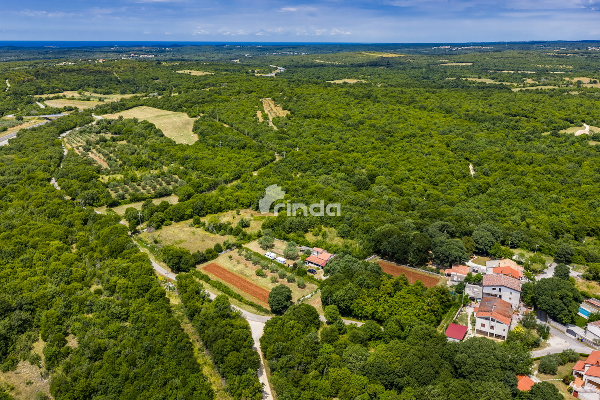 Casa in pietra istriana con uliveto - Mrgani - Canale di Limski - 165m2 + (1.350m2)