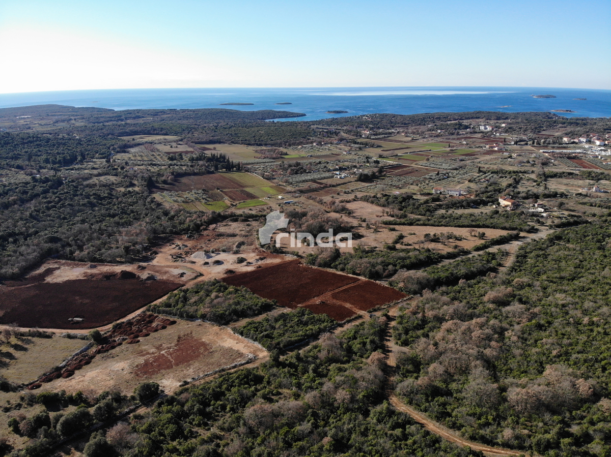 Complesso di terreni agricoli con vista sul mare - Esclusiva