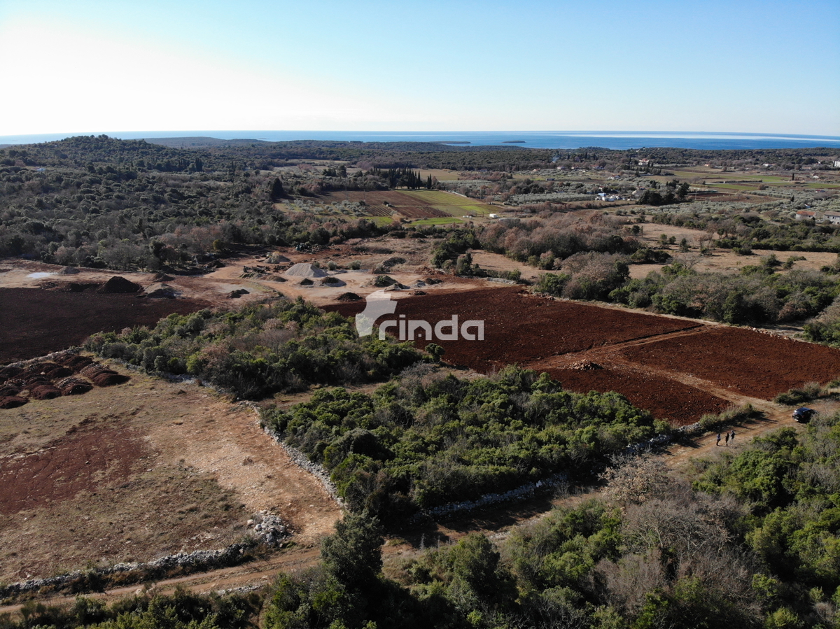 Complesso di terreni agricoli con vista sul mare - Esclusiva