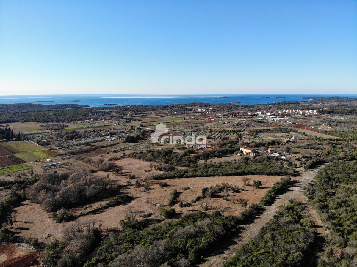 Complesso di terreni agricoli con vista sul mare - Esclusiva